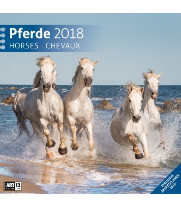Wandkalender  Pferde 30x30 2018