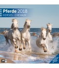 Nástěnný kalendář Koně / Pferde 30x30 2018