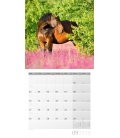 Nástěnný kalendář Koně / Pferde 30x30 2018
