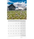 Wall calendar  Alpen 30x30 2018