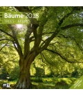Wall calendar  Bäume 30x30 2018