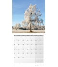 Nástěnný kalendář Stromy / Bäume 30x30 2018