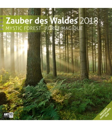 Wandkalender  Zauber des Waldes 30x30 2018