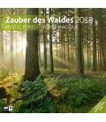 Wall calendar  Zauber des Waldes 30x30 2018