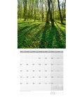 Wall calendar  Zauber des Waldes 30x30 2018