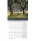 Nástěnný kalendář Kouzlo lesa / Zauber des Waldes 30x30 2018