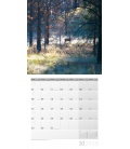 Nástěnný kalendář Kouzlo lesa / Zauber des Waldes 30x30 2018