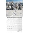 Wall calendar  Traumpfade 30x30 2018