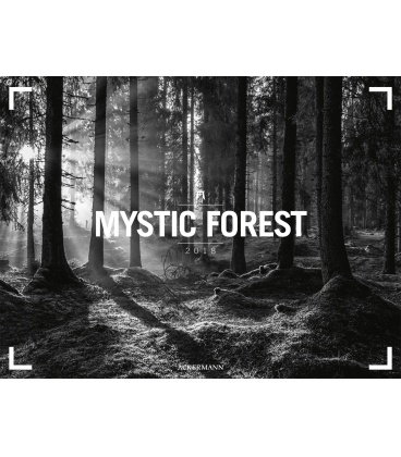 Wall calendar  Mystic Forest 2018