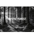 Nástěnný kalendář Les / Mystic Forest 2018