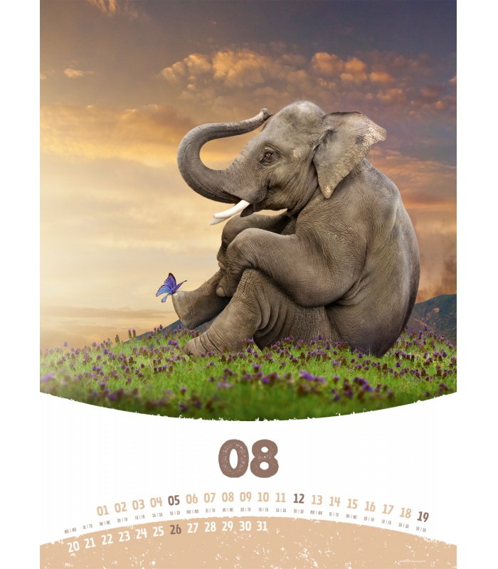 Wall calendar Elephant Life 2018