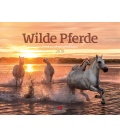 Nástěnný kalendář Divocí koně / Wilde Pferde 2018