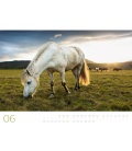 Nástěnný kalendář Divocí koně / Wilde Pferde 2018