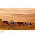 Wandkalender  Wilde Pferde 2018