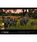 Nástěnný kalendář Fauna Afriky / Tierwelt Afrika 2018
