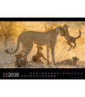 Nástěnný kalendář Fauna Afriky / Tierwelt Afrika 2018