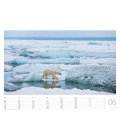 Wall calendar  Eisbären 2018