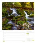 Nástěnný kalendář Krásy lesa - týdenní plánovač / Unser Wald 2018 - Wochenplaner