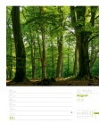 Nástěnný kalendář Krásy lesa - týdenní plánovač / Unser Wald 2018 - Wochenplaner