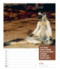 Nástěnný kalendář Zvířata - týdenní plánovač / Tierisch! 2018 - Wochenplaner