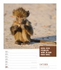 Nástěnný kalendář Zvířata - týdenní plánovač / Tierisch! 2018 - Wochenplaner