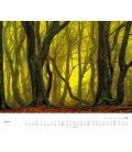 Nástěnný kalendář Procházky lesem / Waldspaziergang 2018