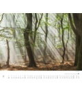 Nástěnný kalendář Procházky lesem / Waldspaziergang 2018