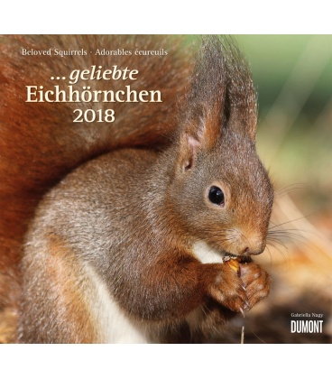 Wandkalender ...geliebte Eichhörnchen 2018