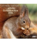 Nástěnný kalendář Veverky / ...geliebte Eichhörnchen 2018