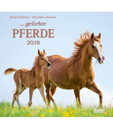 Wall calendar ...geliebte Pferde 2018