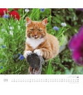 Nástěnný kalendář Kočky / … geliebte Stubentiger 2018