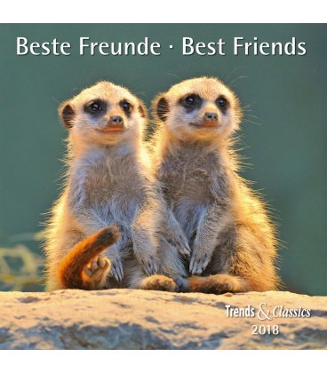 Nástěnný kalendář Nejlepší přátelé / Beste Freunde T&C 2018
