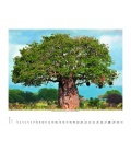 Wall calendar Magische Bäume 2018