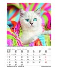Nástěnný kalendář Kočky / Gr. farbiger Katzenkalender 2018