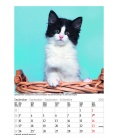 Wall calendar Gr. farbiger Katzenkalender 2018