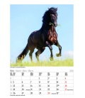 Wandkalender Gr. farbiger Pferdekalender 2018