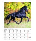 Nástěnný kalendář Koně / Gr. farbiger Pferdekalender 2018