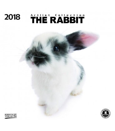 Nástěnný kalendář Králíci / The Rabbit (BK) 2018