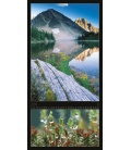 Wall calendar All About Nature 2019