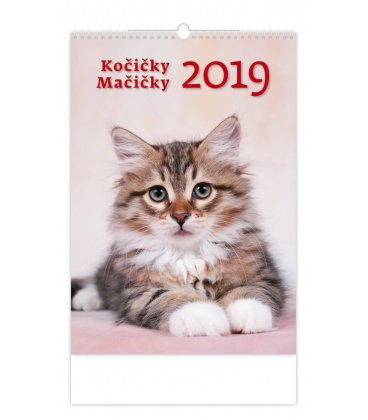 Wandkalender Kočičky/Mačičky 2019