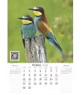 Wall calendar Zpěvní ptáci 2019