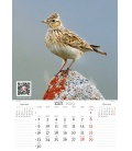 Nástěnný kalendář Zpěvní ptáci 2019