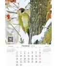 Wall calendar Zpěvní ptáci 2019