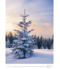Nástěnný kalendář Trees/Bäume/Stromy 2019