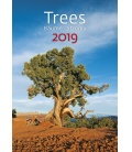 Wandkalender Trees/Bäume/Stromy 2019