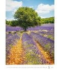 Wandkalender Provence 2019