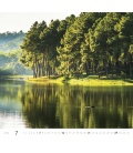 Wall calendar Forest/Wald/Les 2019