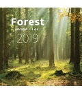 Wall calendar Forest/Wald/Les 2019
