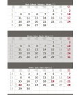 Nástěnný kalendář Tříměsíční šedý 2019