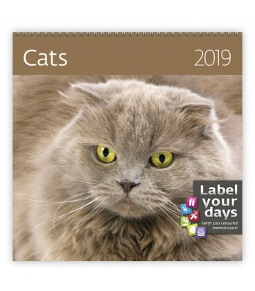 Wall calendar Cats 2019
